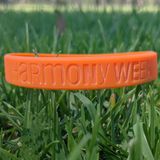 Harmony Day Wristband