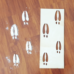 Christmas - Reindeer Hooves Stencil